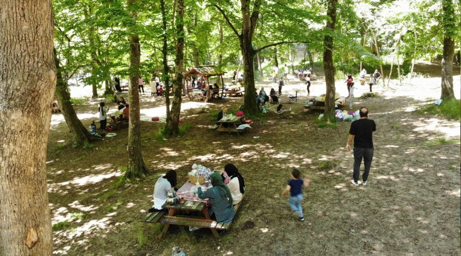 �stanbullular Belgrad Orman�'na ak�n etti