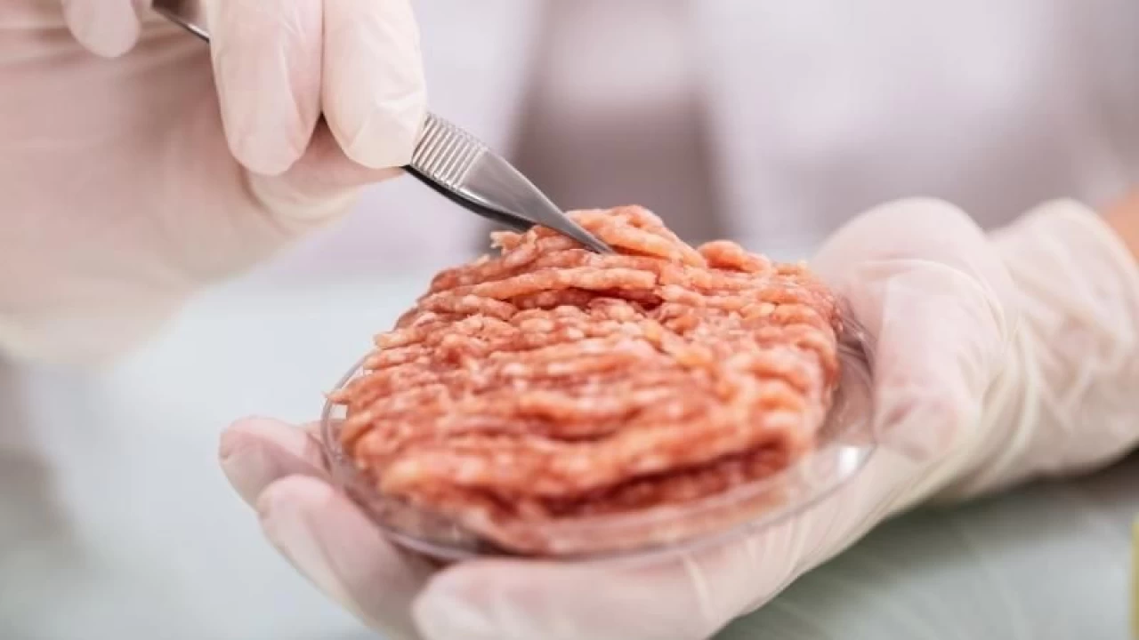 In Italia la carne artificiale è vietata!  – Nuovo messaggio