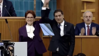 İYİ Parti'de bir istifa daha