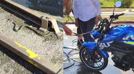 Kadın sürücünün motorunun direksiyonundan yılan çıktı