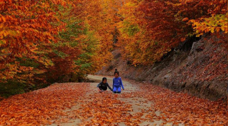 Kahramanmaraş'ta sonbahar renkleri