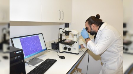 Kanserli hcreler 3 boyutlu grntlenebilecek 