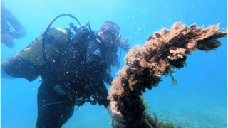 Karadeniz k�y�lar�nda 2 bin 500 y�ll�k tarihe dald�lar