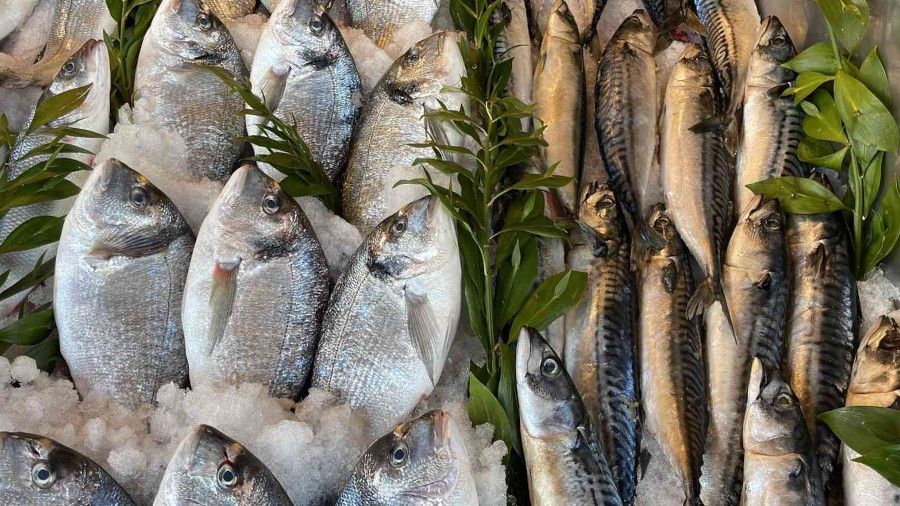 Karadeniz'deki serseri mayınlar tezgaha da yansıdı