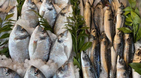 Karadeniz'deki serseri mayınlar tezgaha da yansıdı