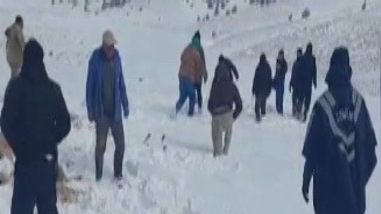 Karaman'da tipiye yakalanan 350 koyun ve e�ek telef oldu