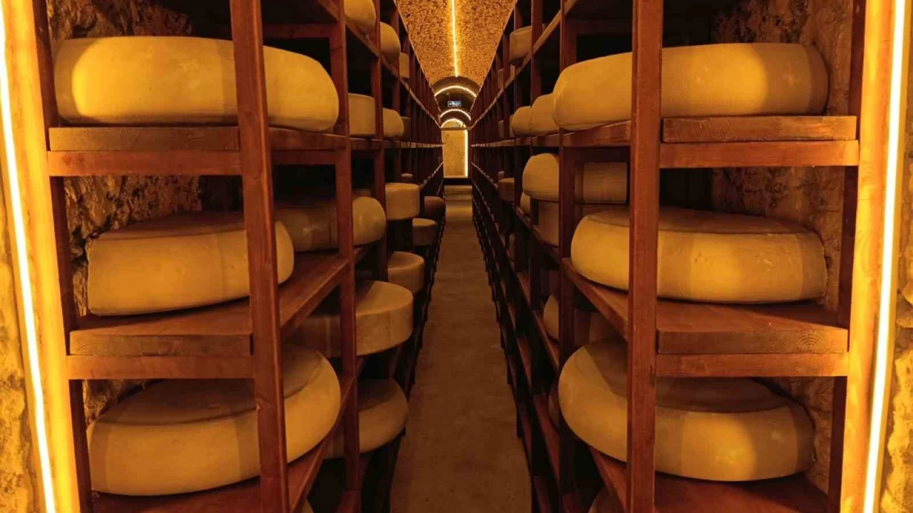 Kars Peynir Müzesi yoğun ilgi görüyor