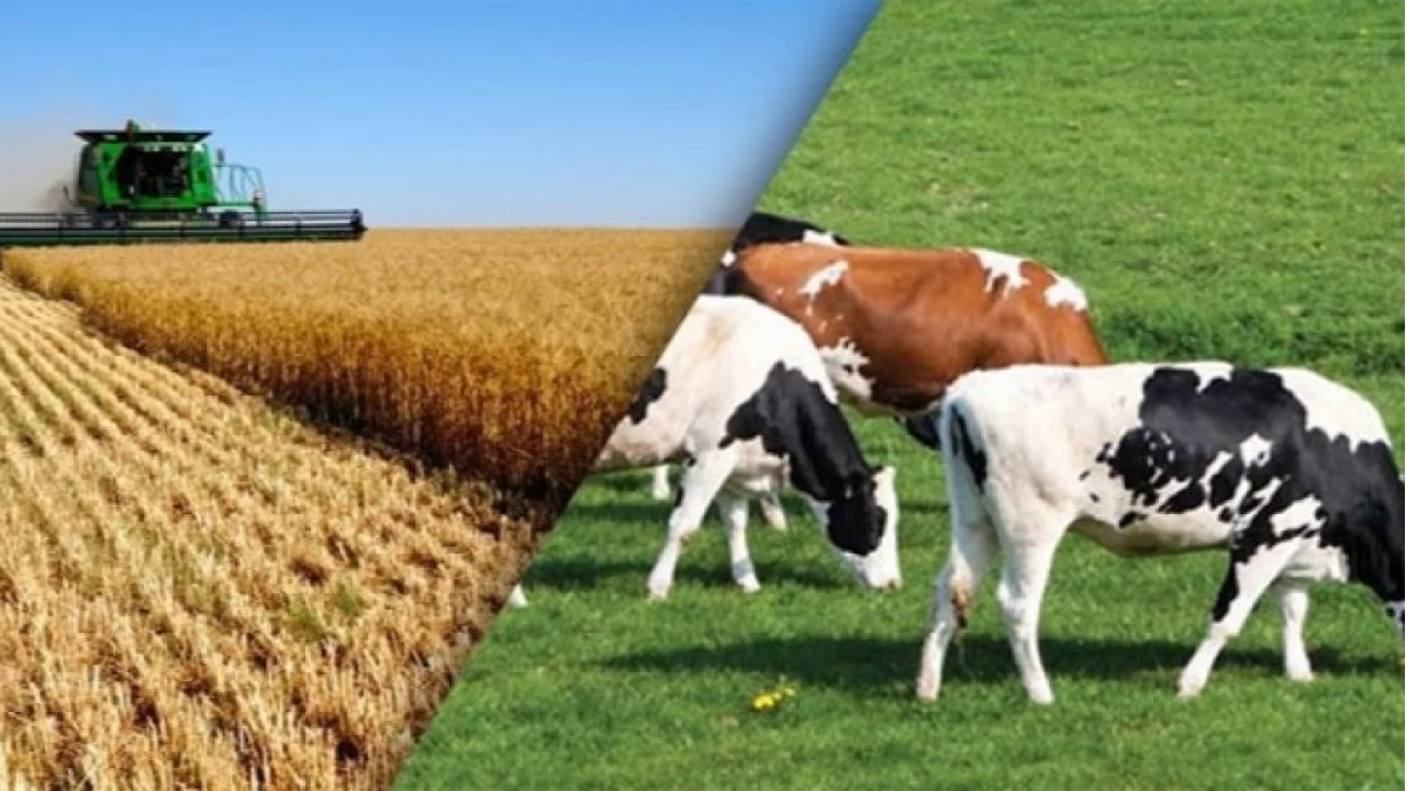 Kars’ın tarımsal potansiyeli ve karşılaşılan sorunlar