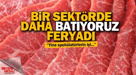 Kasaplardan 'sektör batıyor' feryadı