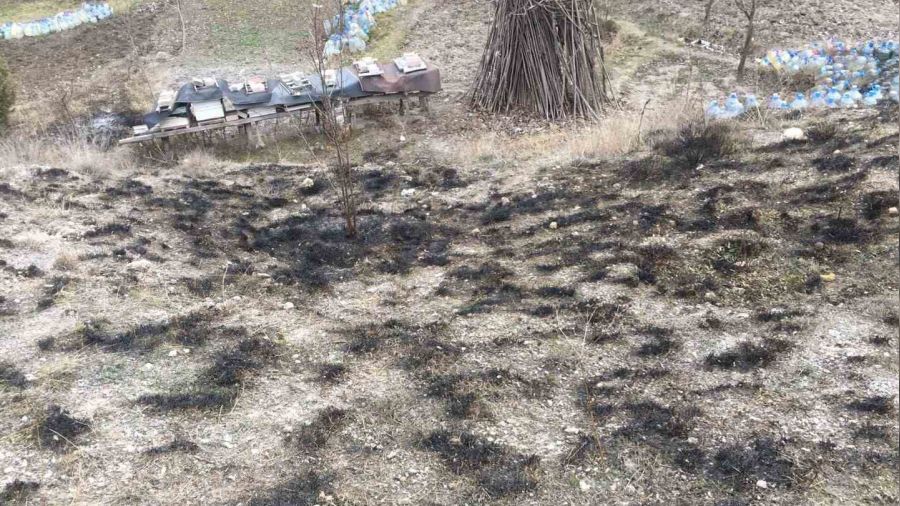 Kastamonu'da çıkan yangında arı kovanları son anda kurtarıldı