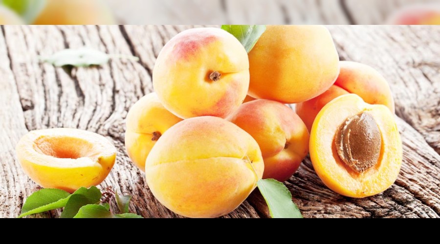 Kayısı ihracatı rekora koşuyor