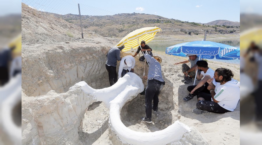 Kayseri'deki fosil bilim merkezine gtrld