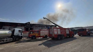 Kendi fabrikasını sigortadan para almak için yaktı
