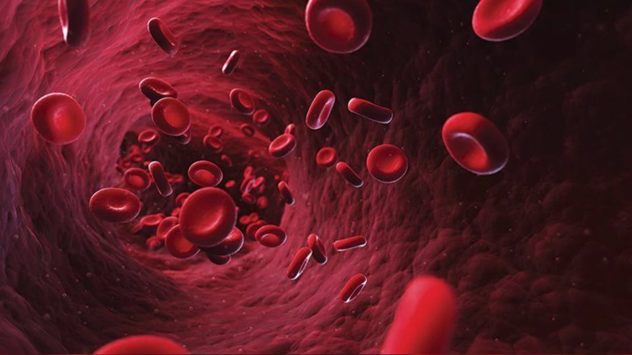 'K�rm�z� kan h�crelerinin azalmas� anemiye yol a��yor'