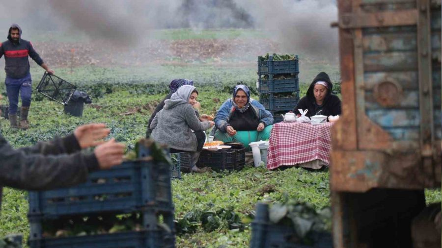 K���n ortas�nda tar�m i��ilerinin zorlu mesaisi