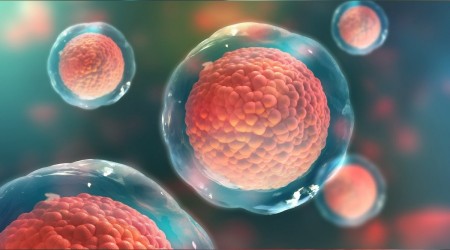 Kk hcreler hastalkla savar