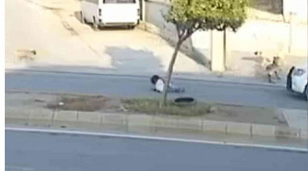 Köpekten kaçan küçük kız aracın altında kalmaktan son anda kurtuldu