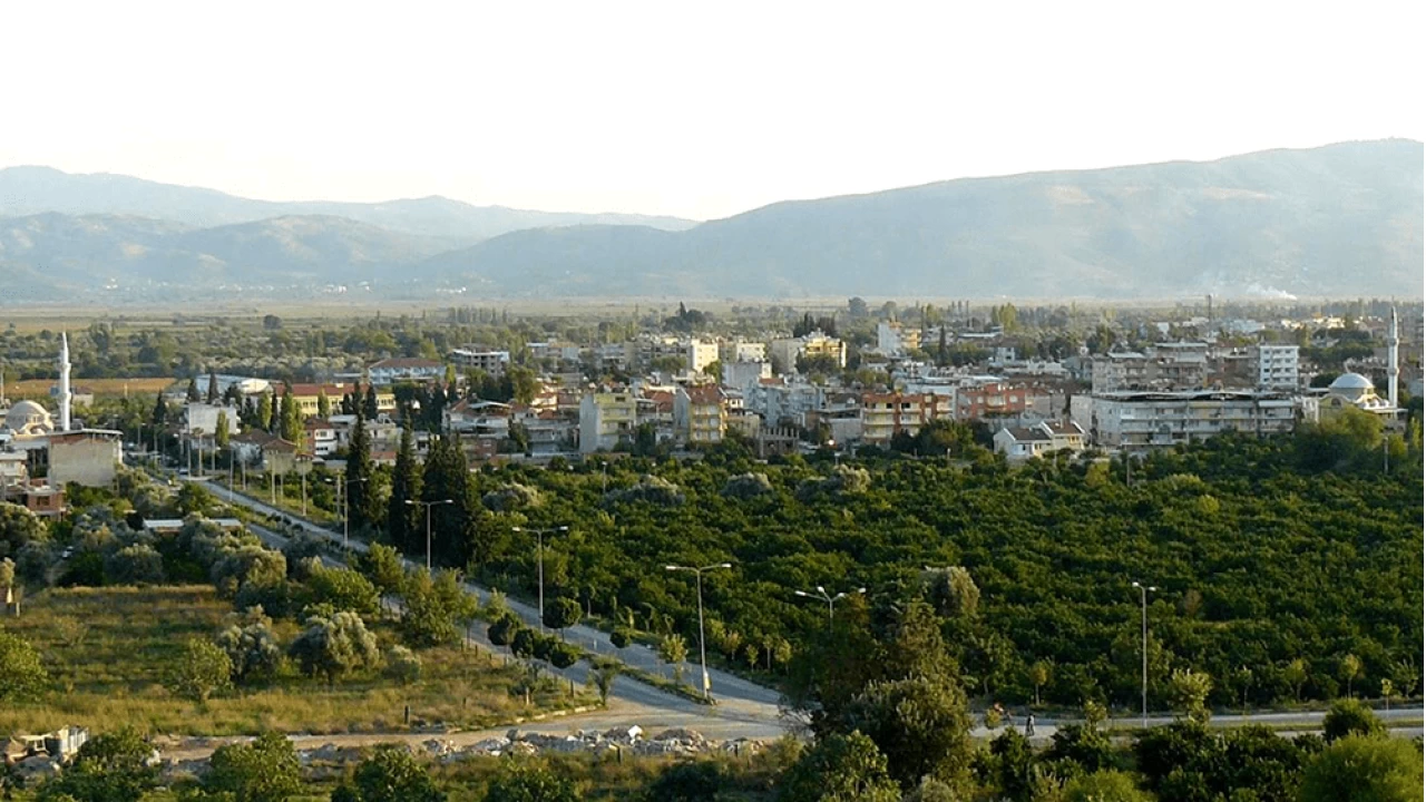 Köşk İlçesi: Tarımsal ve sanayi potansiyeli