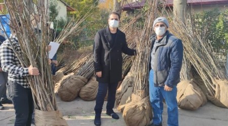 Köylere ceviz ve badem fidanı dağıtımı