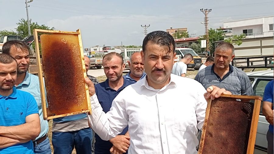 Kozanlı arıcılar sahte bala dikkat çekti