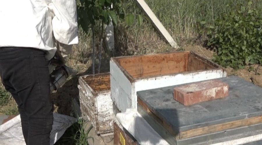 Kurakl�k bal �retimini riske soktu