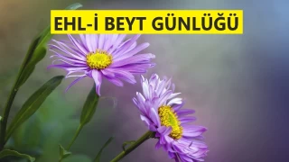 ‘Kur’an’ın hükmü değil maksadın’