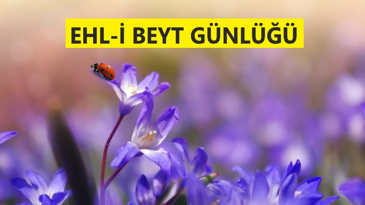 Kur�an��n h�k�mlerinin �limi Hz. Ali�dir