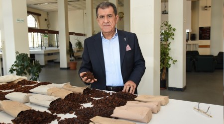 Kuru meyvede ihracat iyi gidiyor
