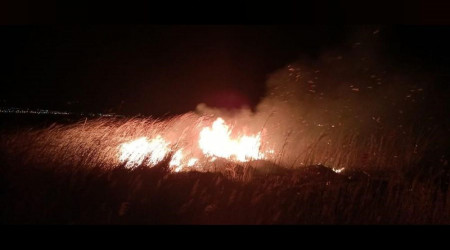 'Kuş Cenneti'ndeki yangınlar çevrecileri endişelendiriyor