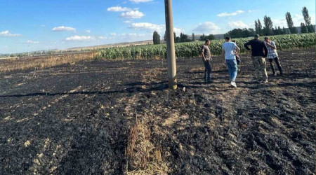 Kuş elektrik akımına kapıldı, 60 dönüm arazi zarar gördü