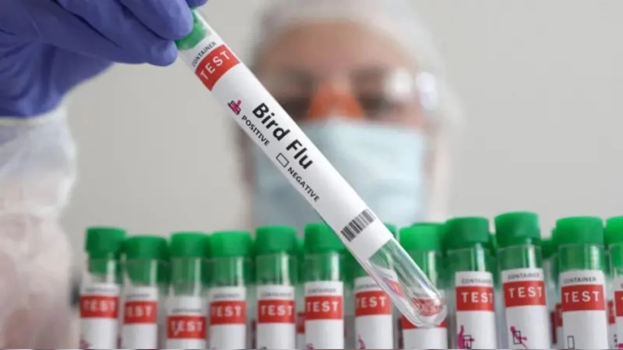 Kuş gribi türüyle bağlantılı ilk ölüm