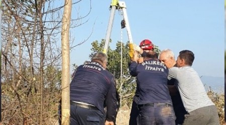 Kuyuya düşen dana makara sistemiyle kurtarıldı