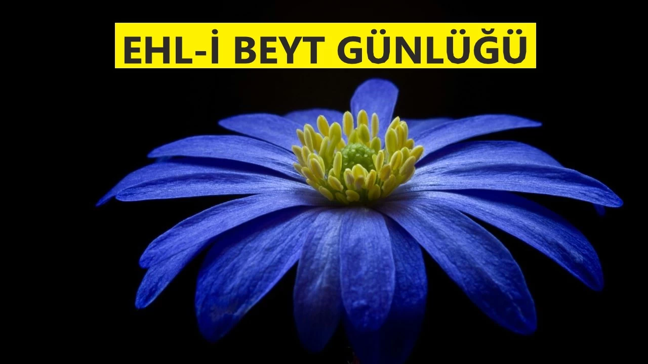 Mal e�it �ekilde payla�t�r�l�r