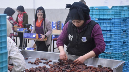 Malatya'da kays pazar hareketlendi