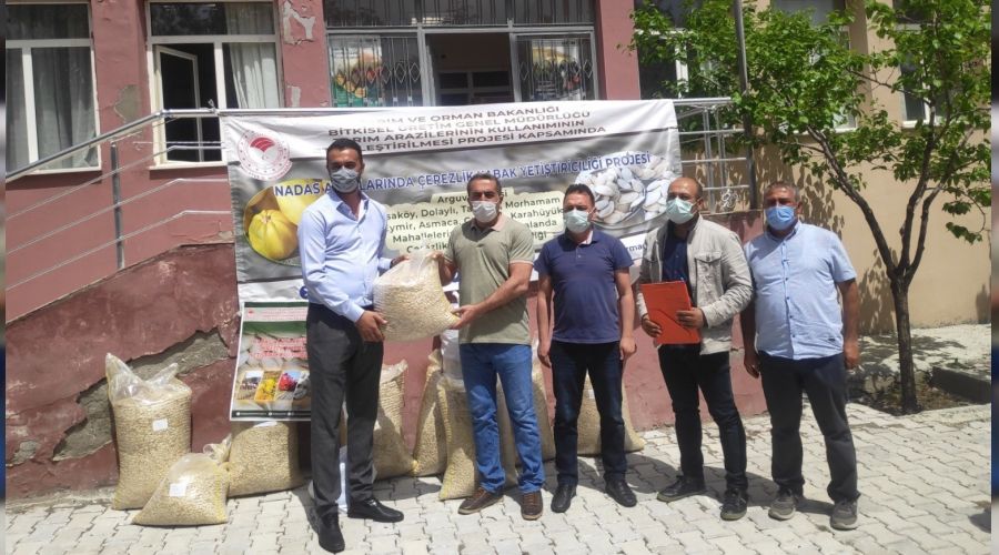 Malatya'da kay�s�ya alternatif: Kabak