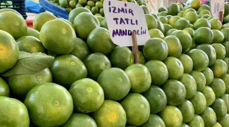 Mandalina tezgaha düştü, vatandaş ilgi gösterdi