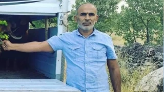 Mardin'de haber alnamayan adam l bulundu