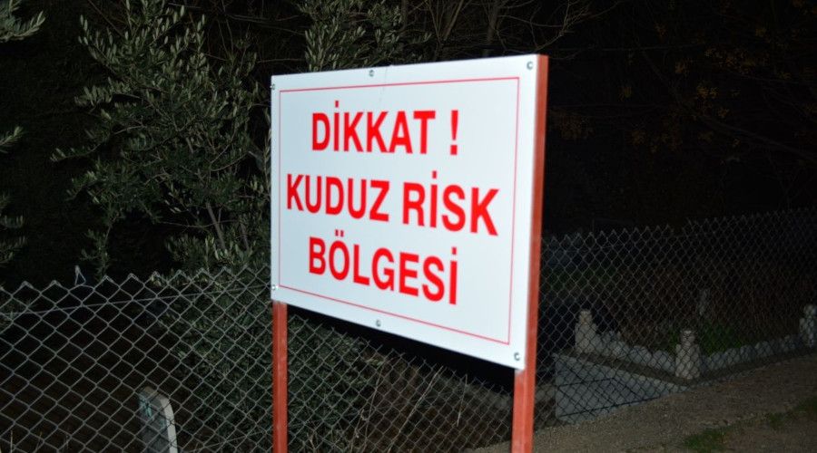 Mardin'de vatanda�lara sald�ran k�pek kuduz ��kt�, mahalle karantinaya al�nd�