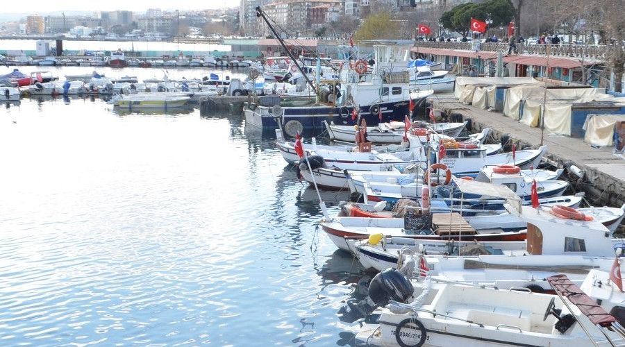 Marmara büyük baskı altında: Salya tehlikesi 2 aydır geçit vermiyor
