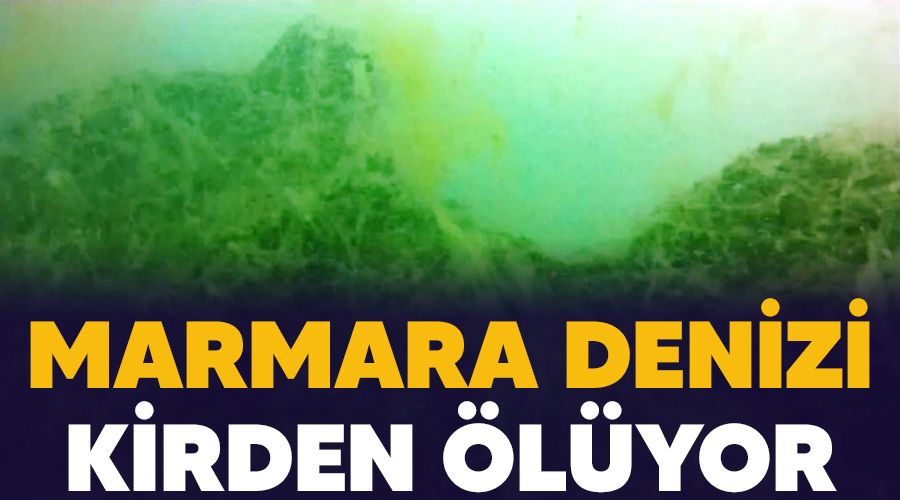 Marmara Denizi kirden �l�yor