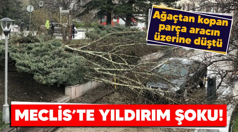 Meclis'te y�ld�r�m �oku!