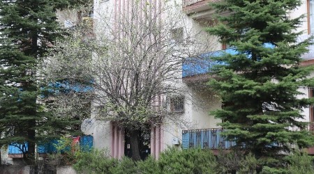 Mevsimler şaştı, erik ağaçları çiçek açtı