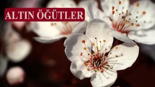 Mümin düzeltici, münafık yıkıcıdır