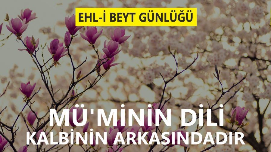 ‘Mü’minin dili, kalbinin arkasındadır’