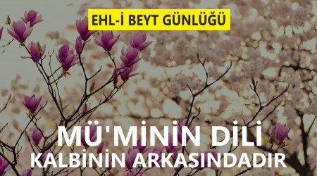 ‘Mü’minin dili, kalbinin arkasındadır’