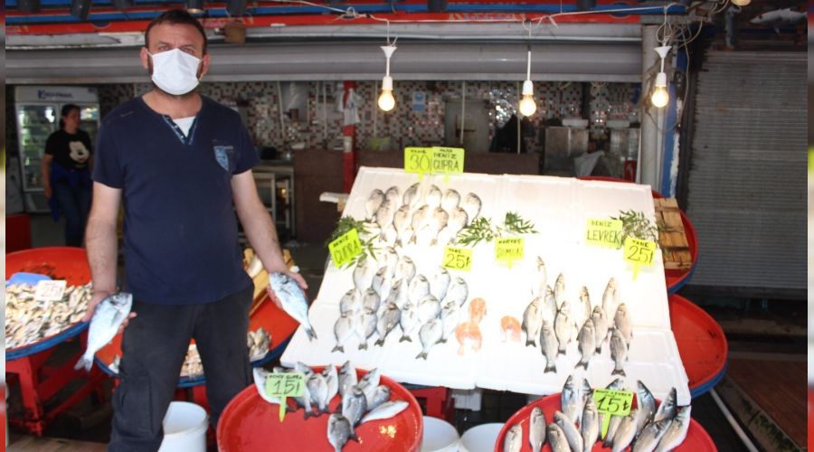 M�silaj bal�k�� esnaf�n� etkiledi