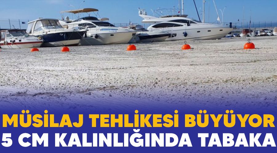 M�silaj tehlikesi b�y�yor, 5 cm kal�nl���nda tabaka