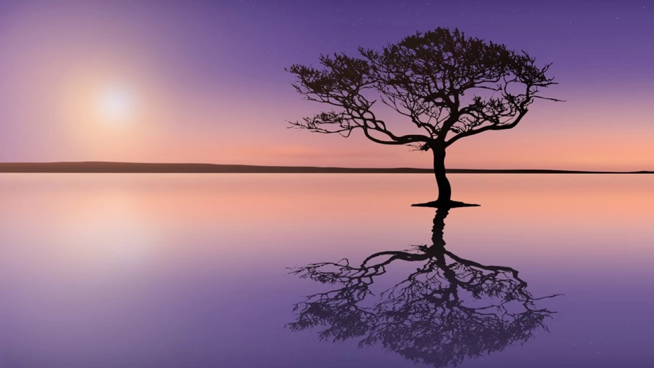 Nefse, arzusunun yerine gelmemesi ac� gelir