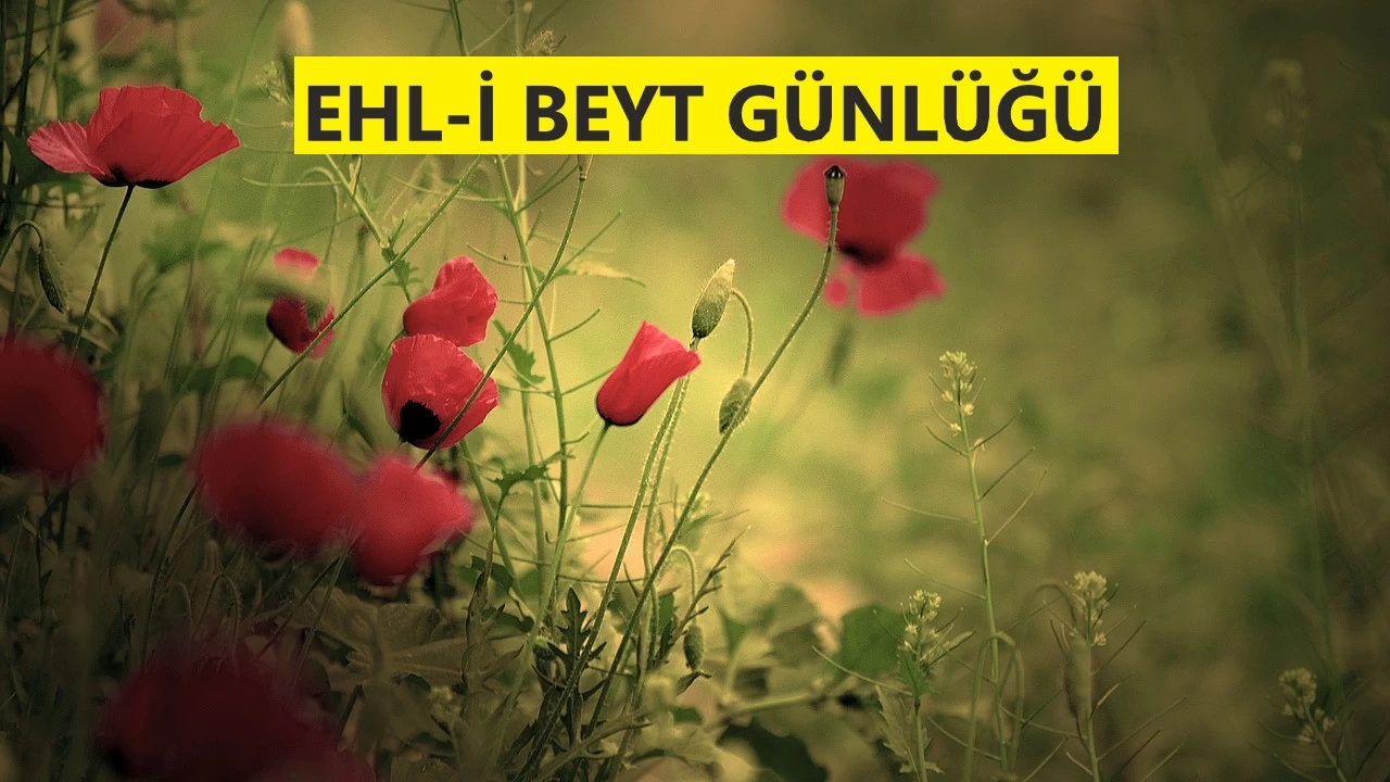 O müminleri cennetle müjdele!