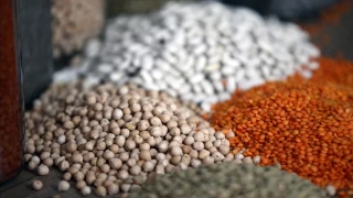 Ocak ayında hububat, bakliyat, yağlı tohumlar ihracatı 1.03 milyar dolar oldu